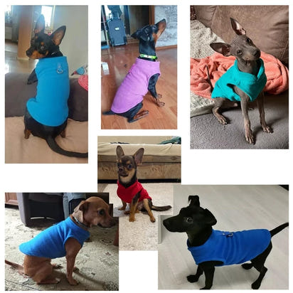 Warme Winterjacke für den Hund